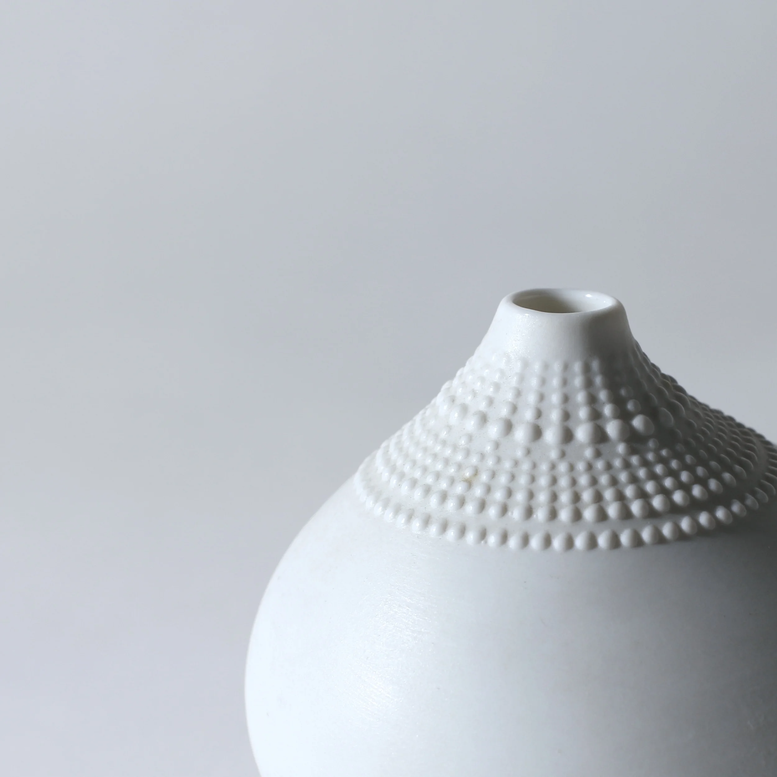 Tapio Wirkkala pollo roenthal Form & Function4.JPG