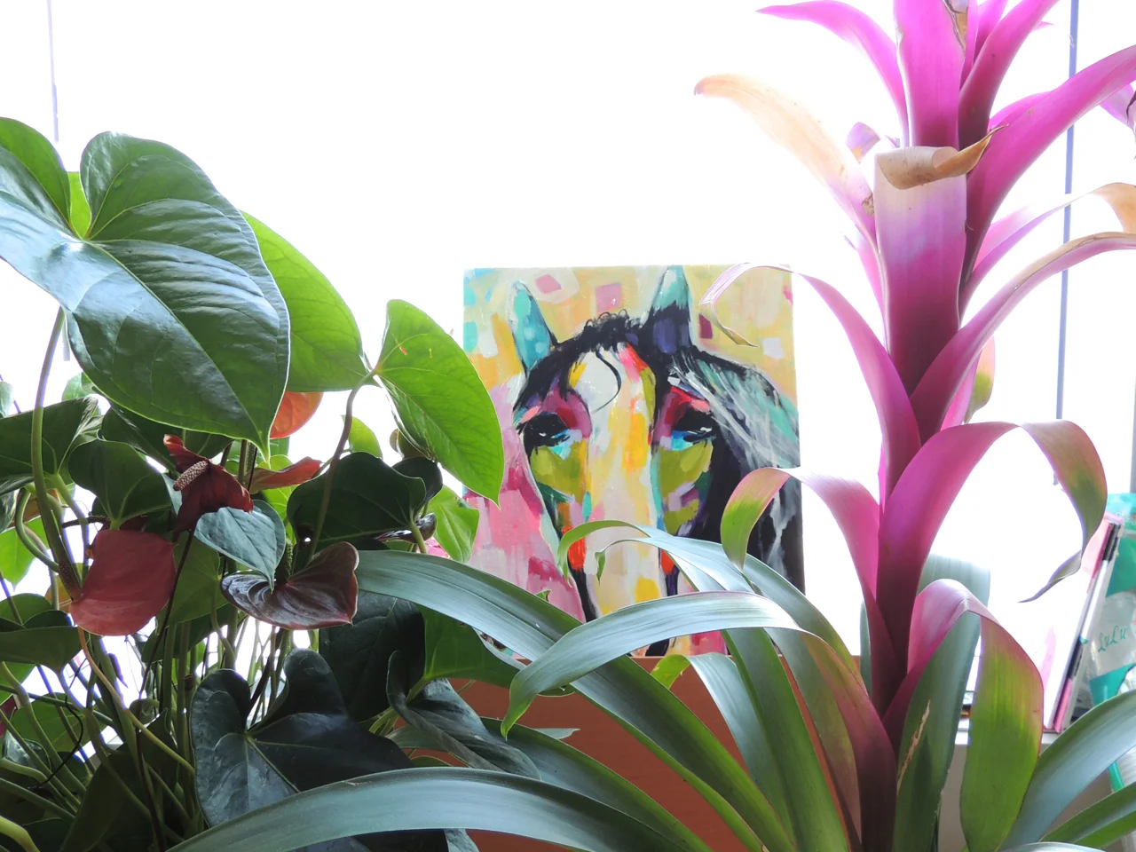 I try to keep some plants or flowers in my home. It really adds life to the otherwise desert terrain surrounding us.