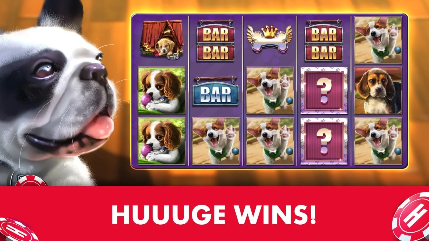 puppies.jpg