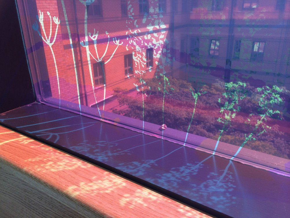 windows3.jpg