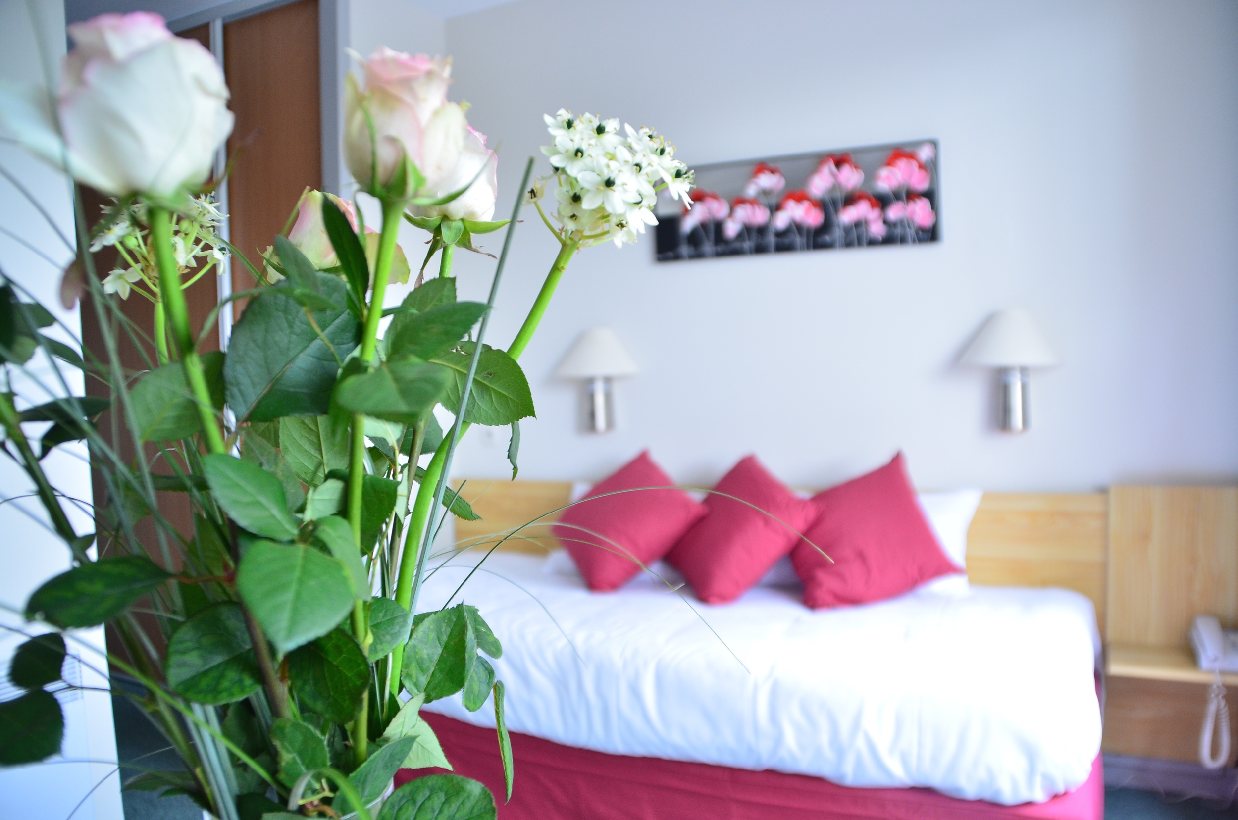 Chambre Dax Hôtel