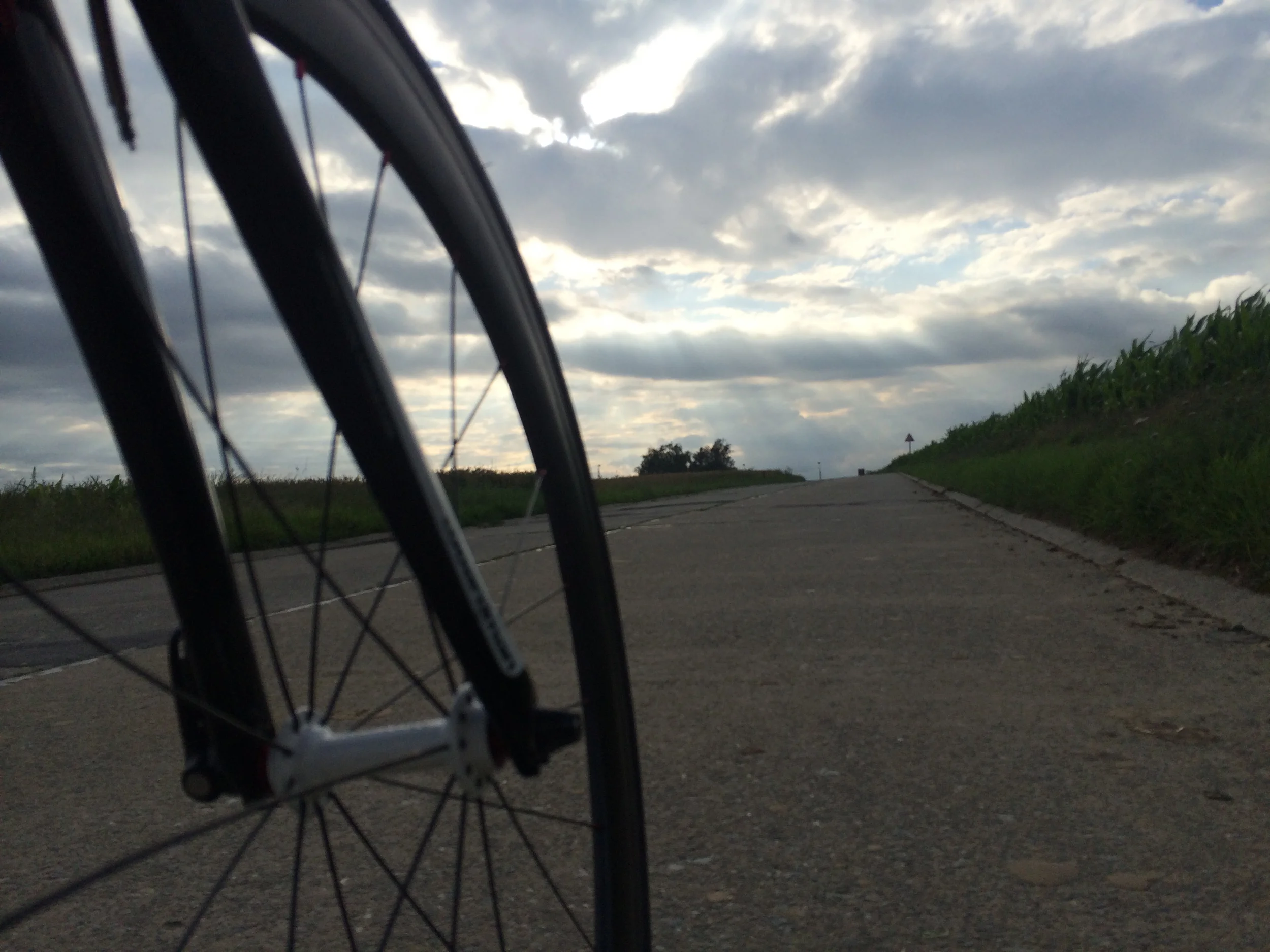 Cycling along the field in Walloon region,Belgium