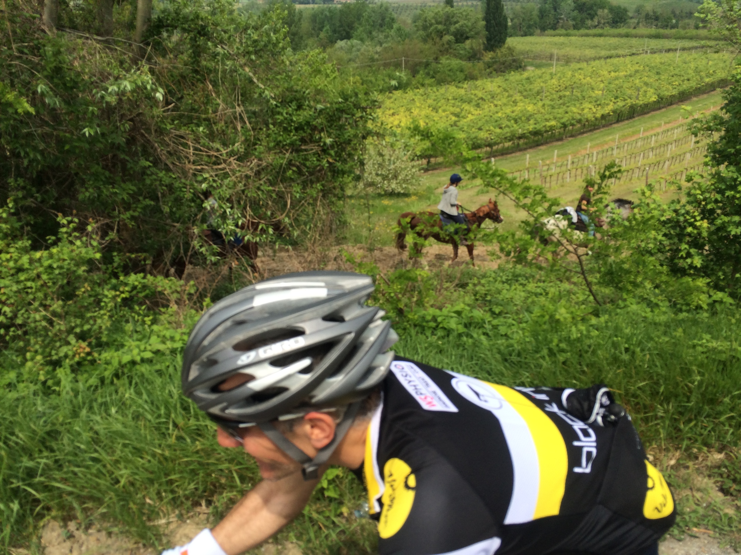 Different SaddleDrunker in the background.