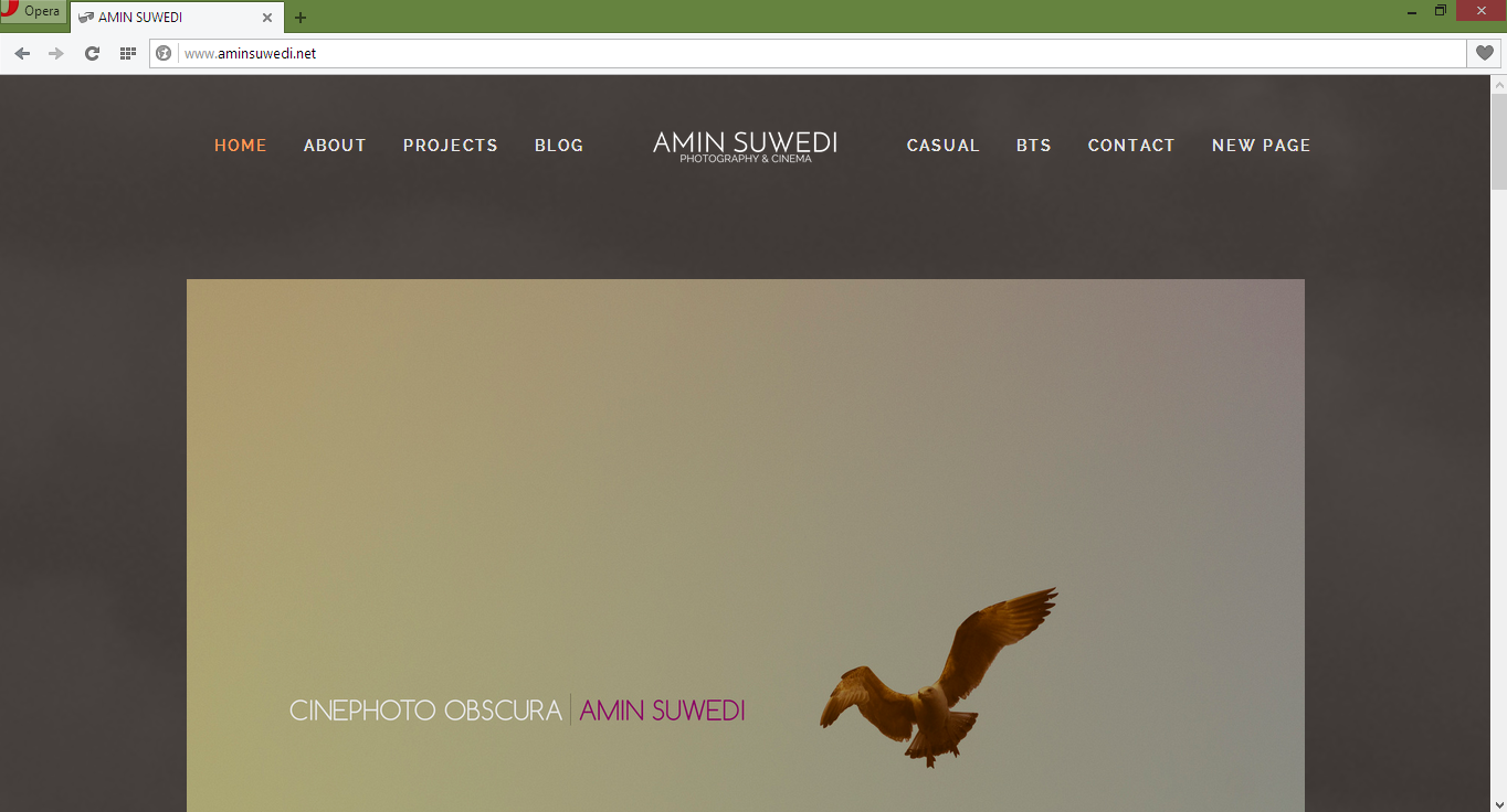 WHY ARE WEBSITES OR BLOGS IMPORTANT?