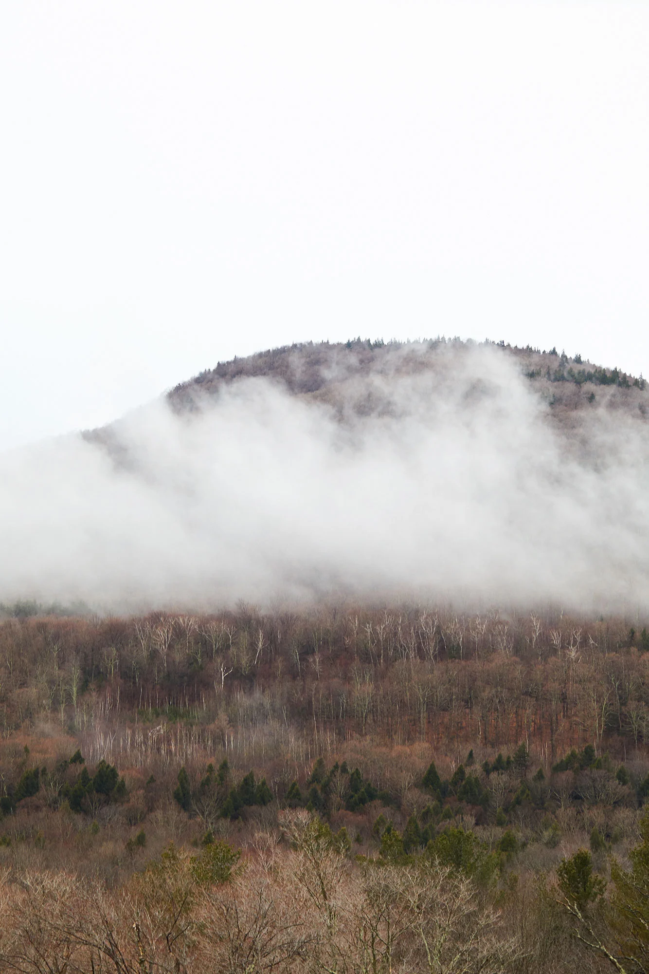 Scribner's_Lodge_Views_013.jpg