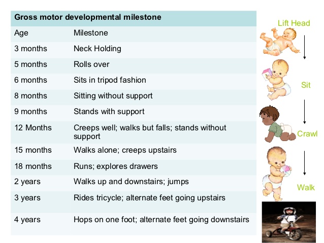 Meeting Physical Milestones — Special Kids Therapy & Nursing Center