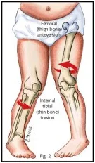 kneebones.jpg