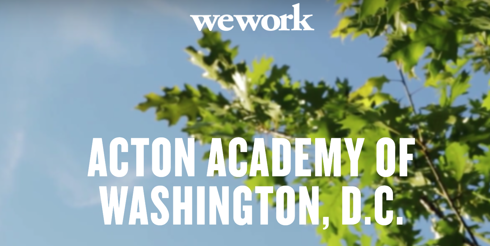WeWork Acton ScreenShot.png