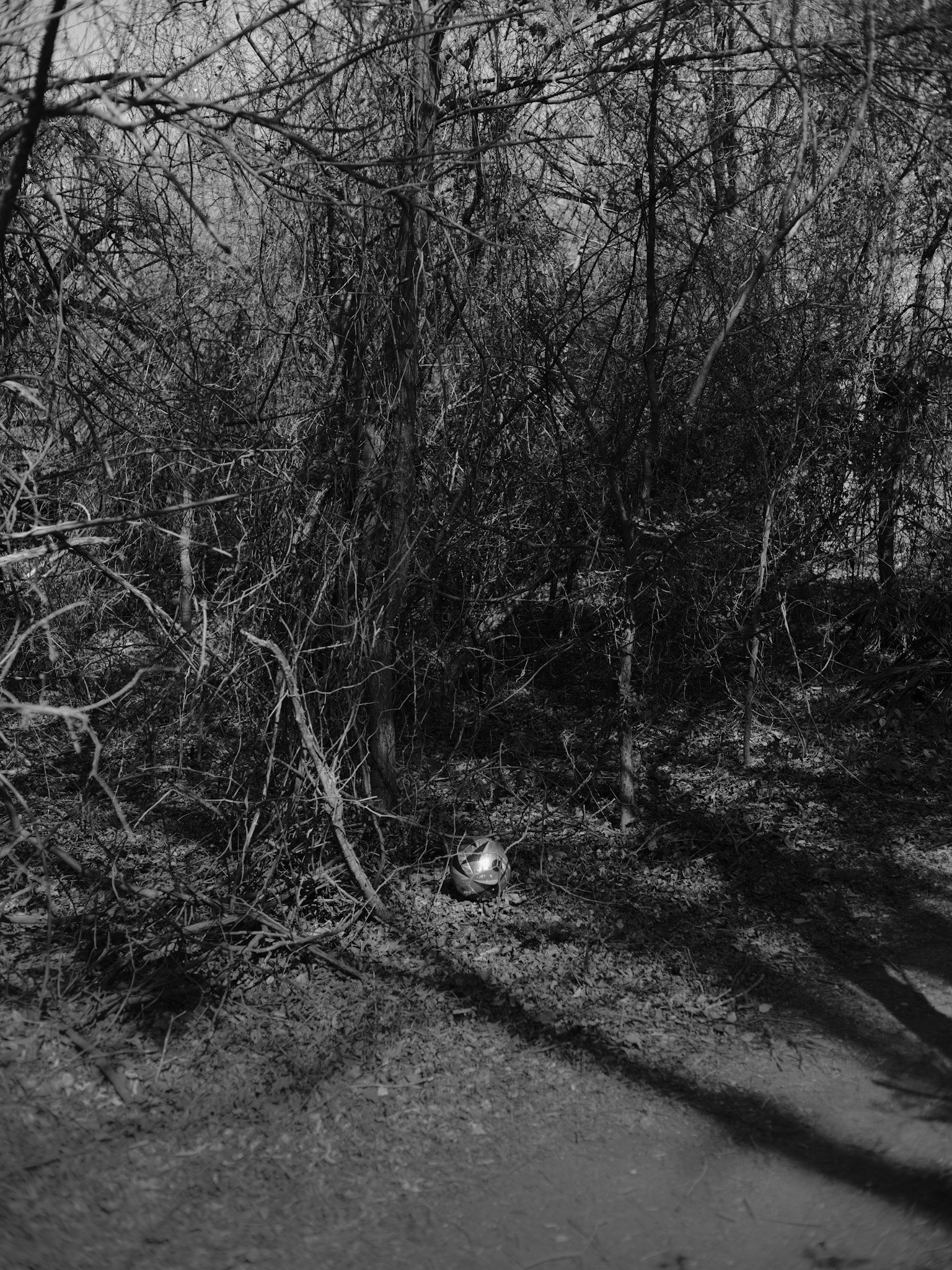 Black and white photo of an abandoned soccer ball, surrounded by trees.