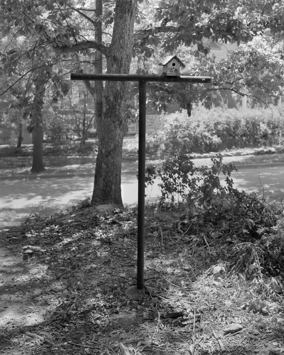 2_AdamJLong_Birdhouse and clothesline.jpg