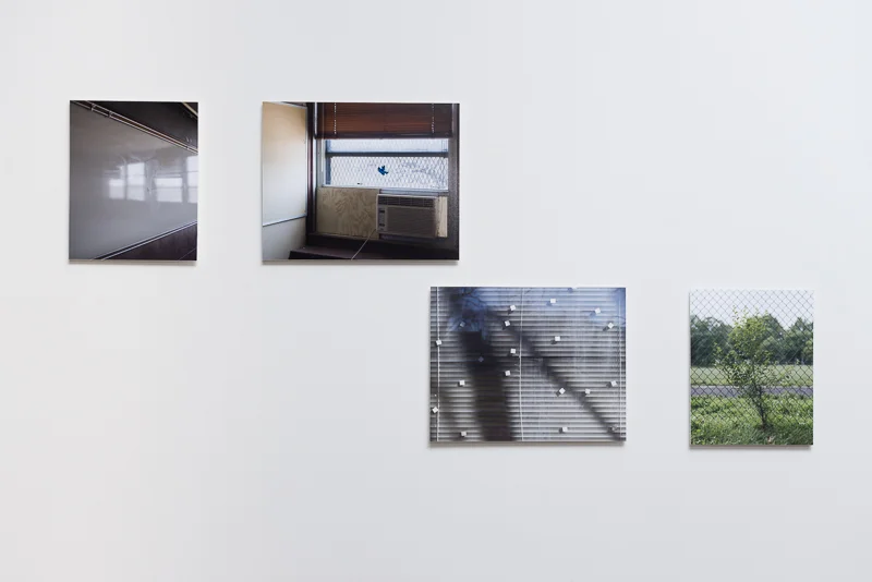 Installation at the Red Lady Gallery