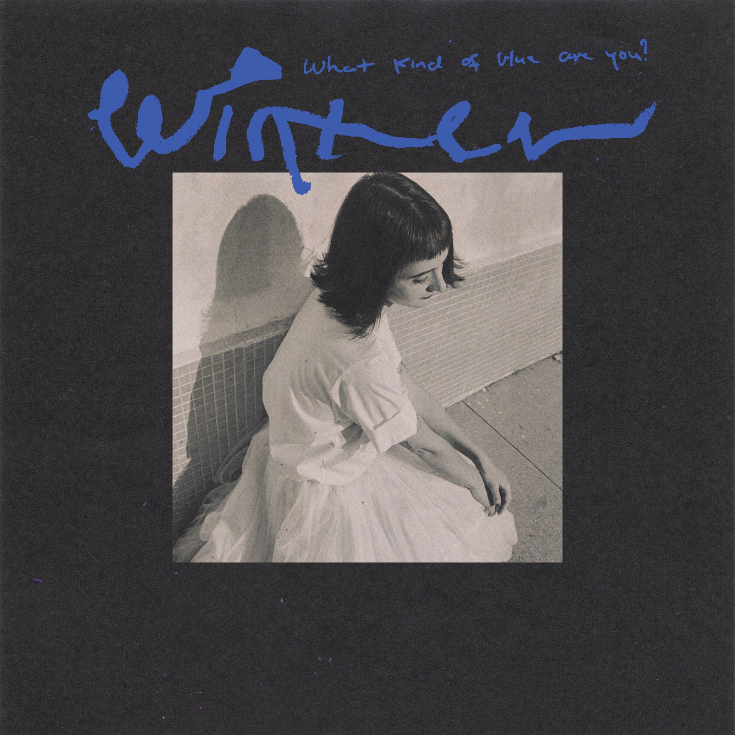 New album "What Kind of Blue Are You" by Winter
