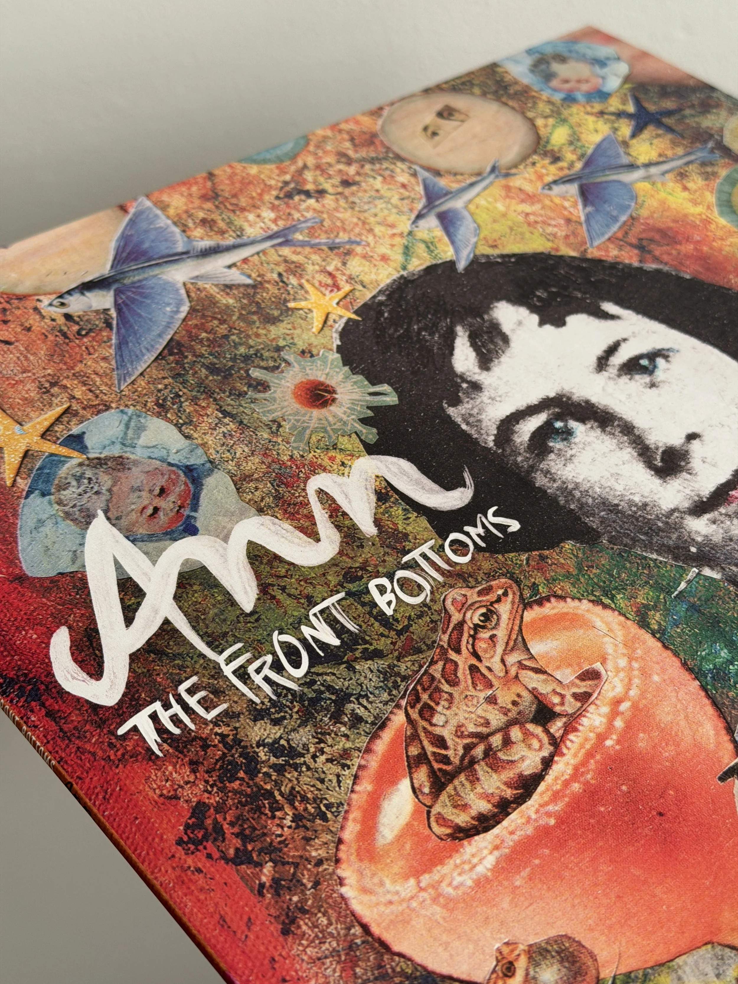 Ann is back in stock!