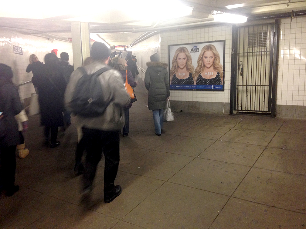 Schumer_2_Sheet 2.png