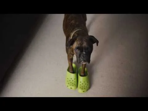 ClearScore 'Where Going?'