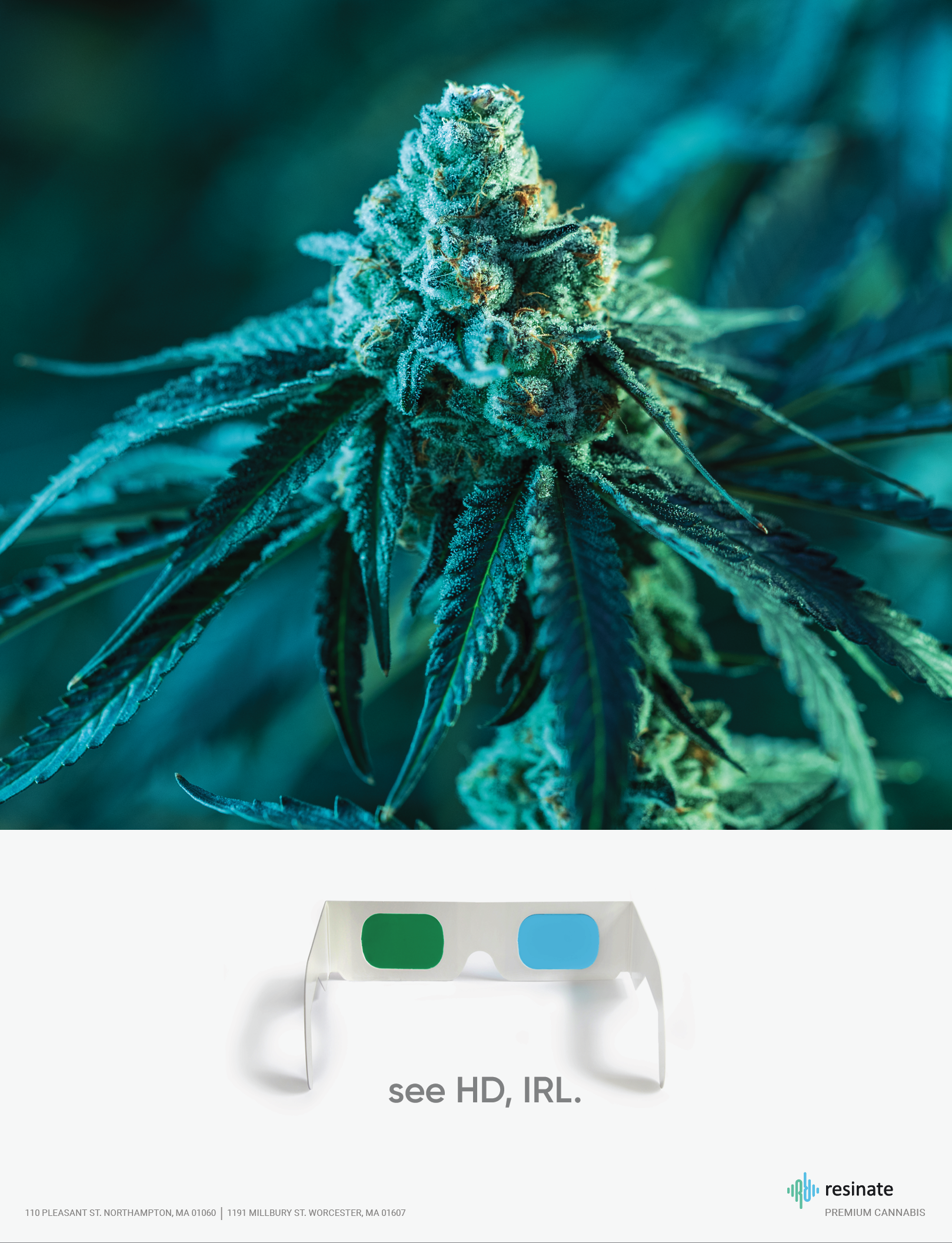 Screen Shot 2022-03-01 at 9.38.50 PM.png