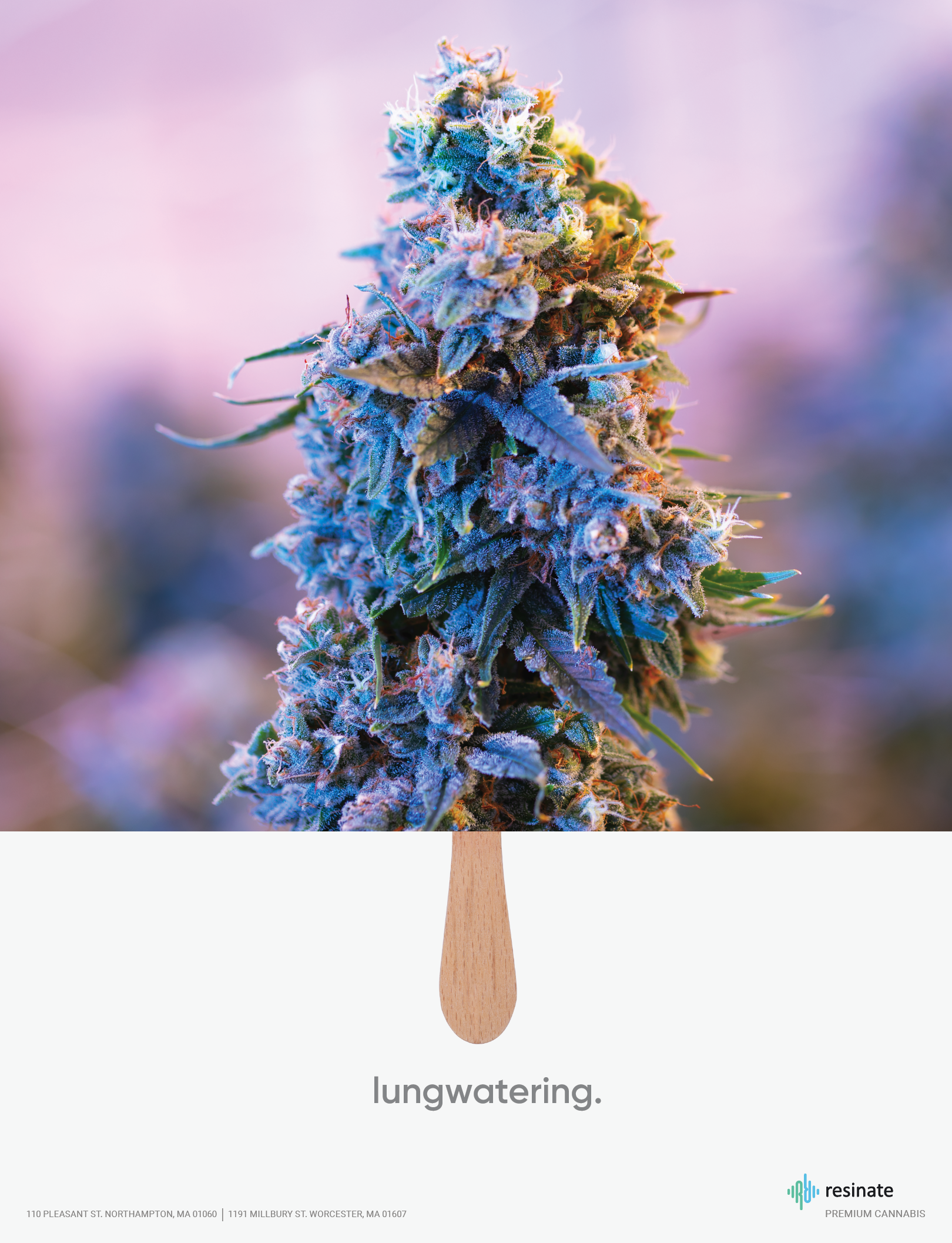 Screen Shot 2022-03-01 at 9.39.11 PM.png