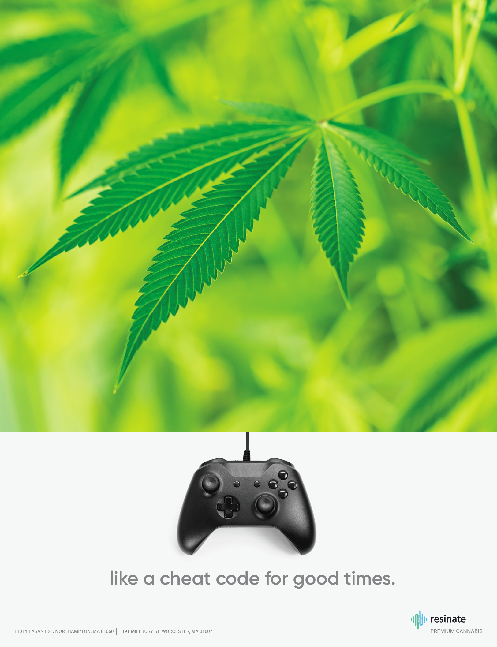 Screen Shot 2022-06-24 at 12.35.09 PM.png