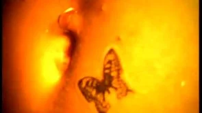 DemolitionGroup / U tvojim ocima