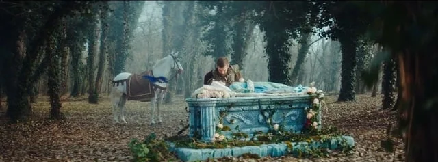 Vip MK / Sleeping Beauty