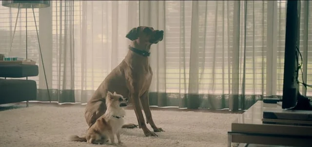 TELEKOM SLOVENIJE / SOAP OPERA