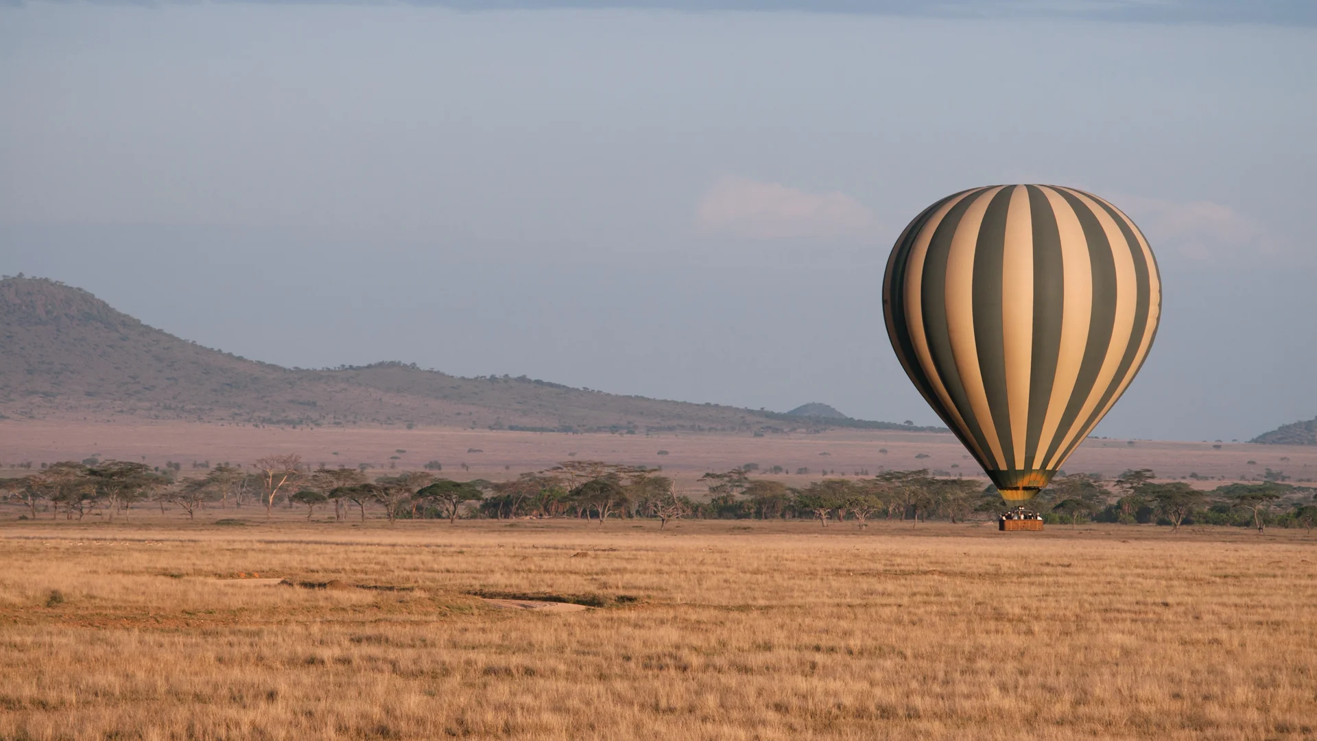 Floating Safari