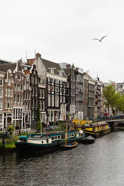 amsterdam-canal-boat-bird.jpg