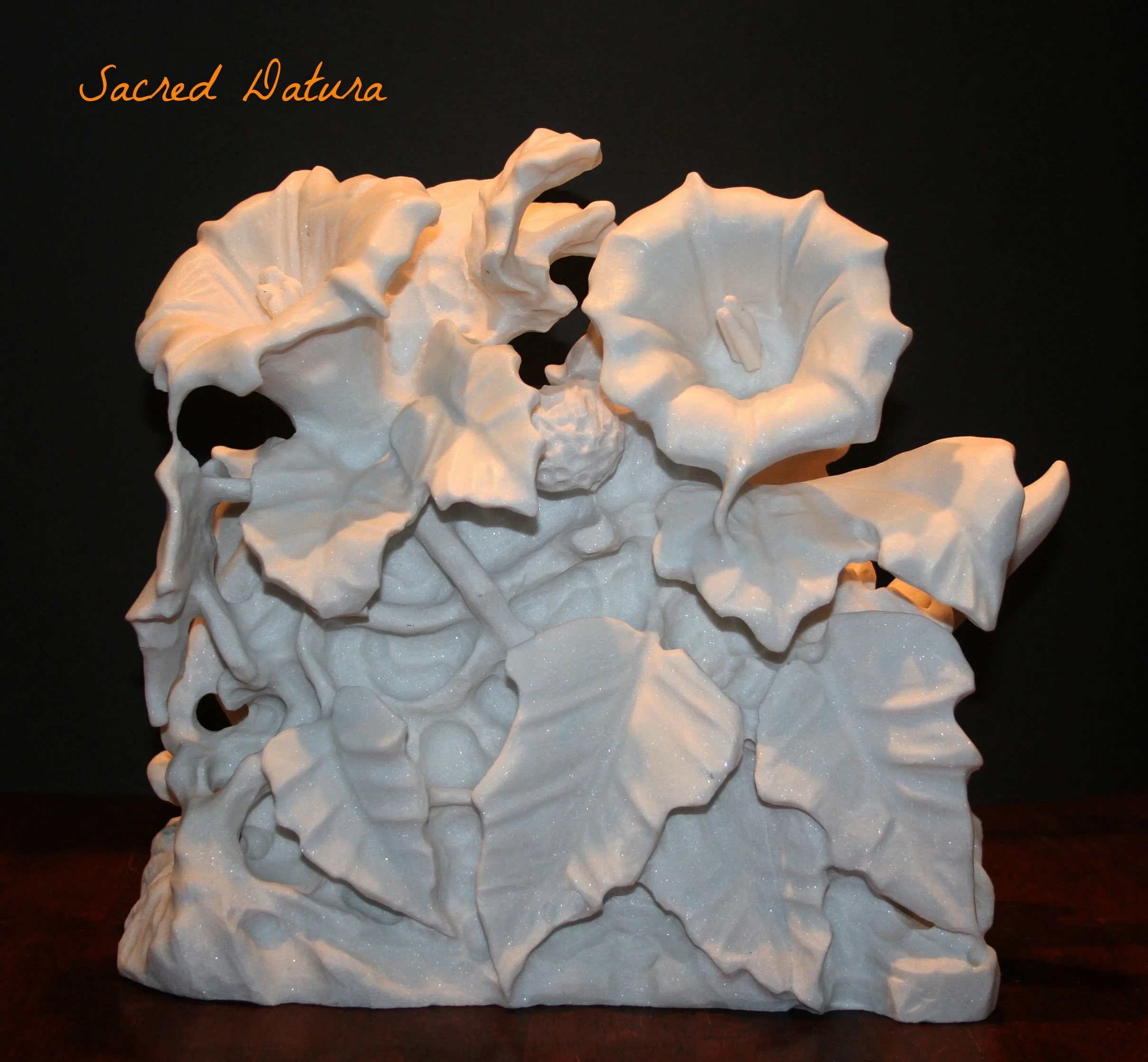   Sacred Datura (front)     