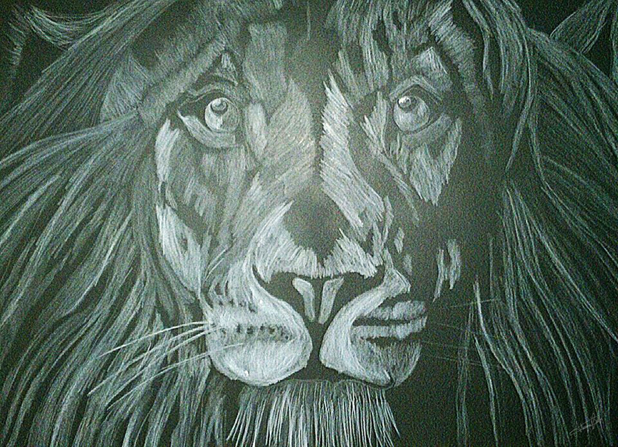 Lion