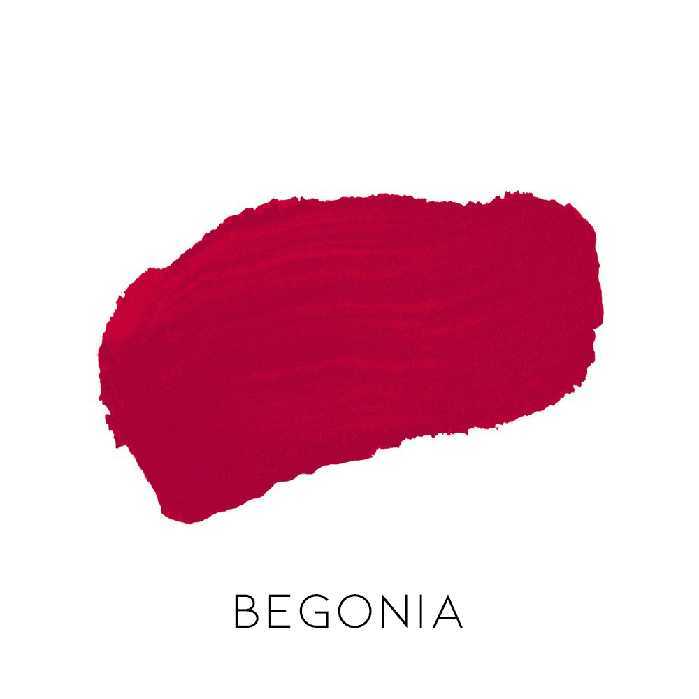 begonia.png