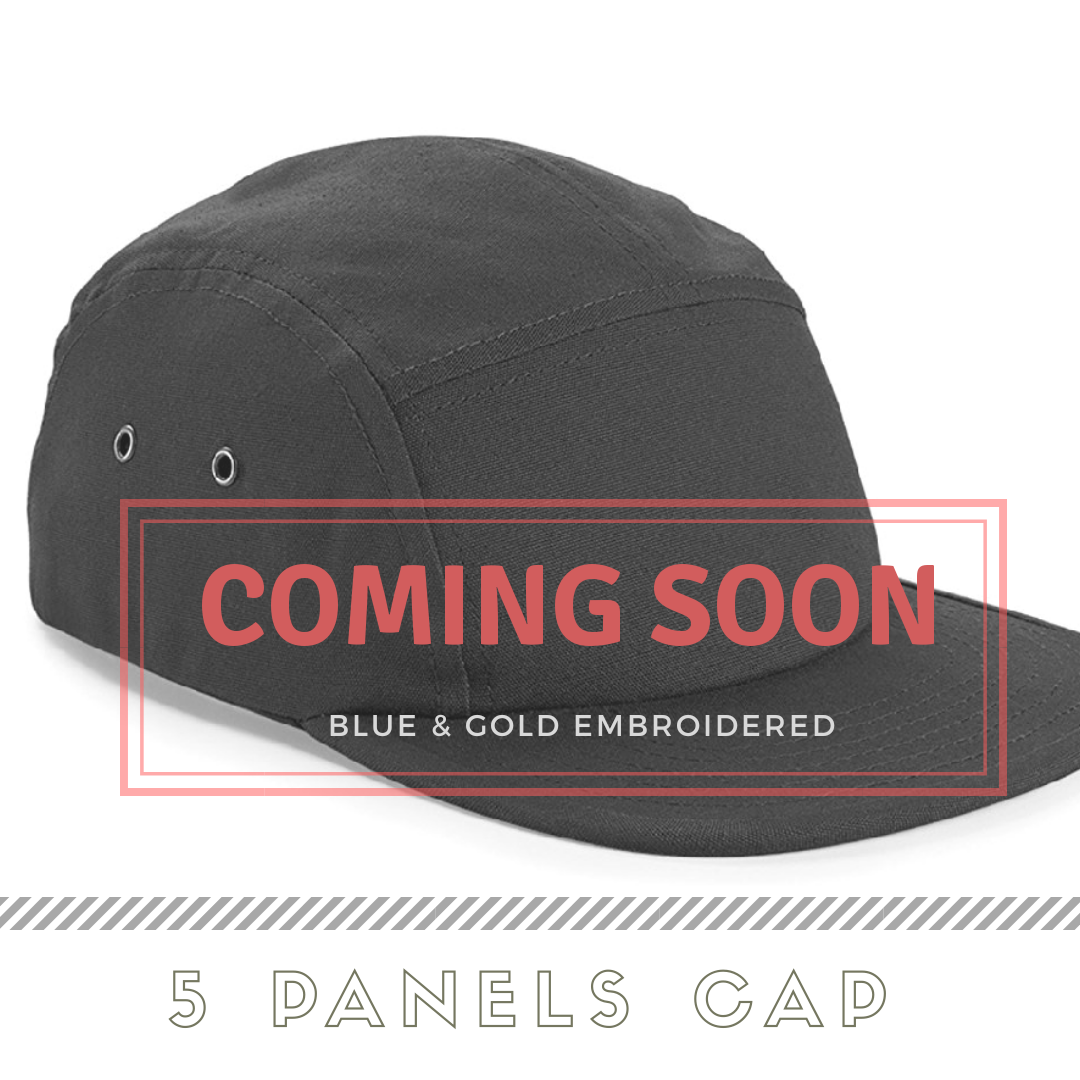 SWAG2018_5PanelsComingSoon.png