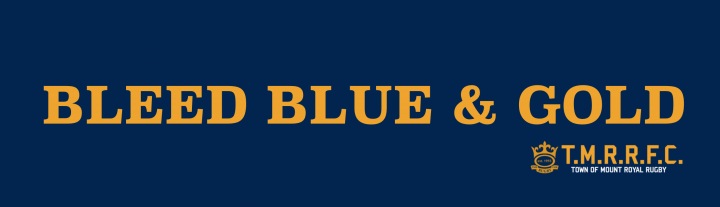 Bleed blue&gold banner(1).png