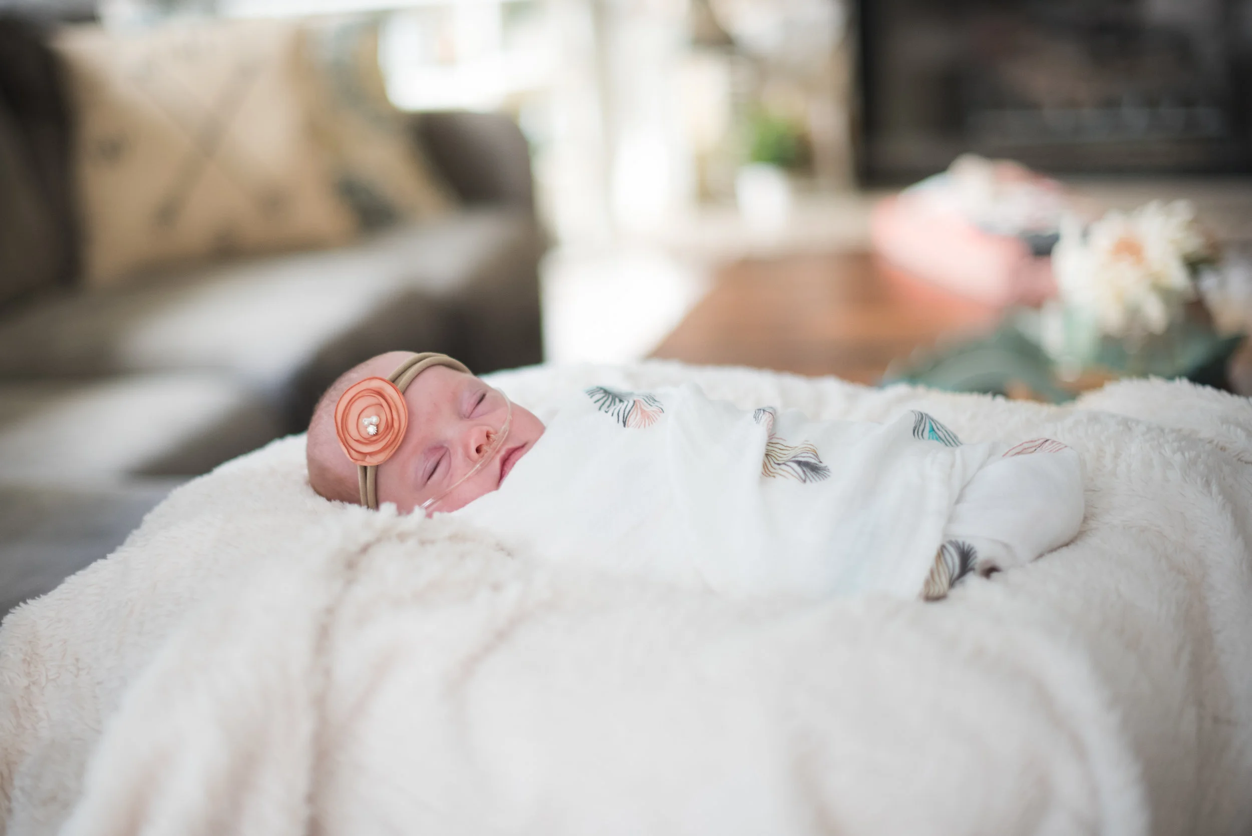 Daul Newborn-3.jpg