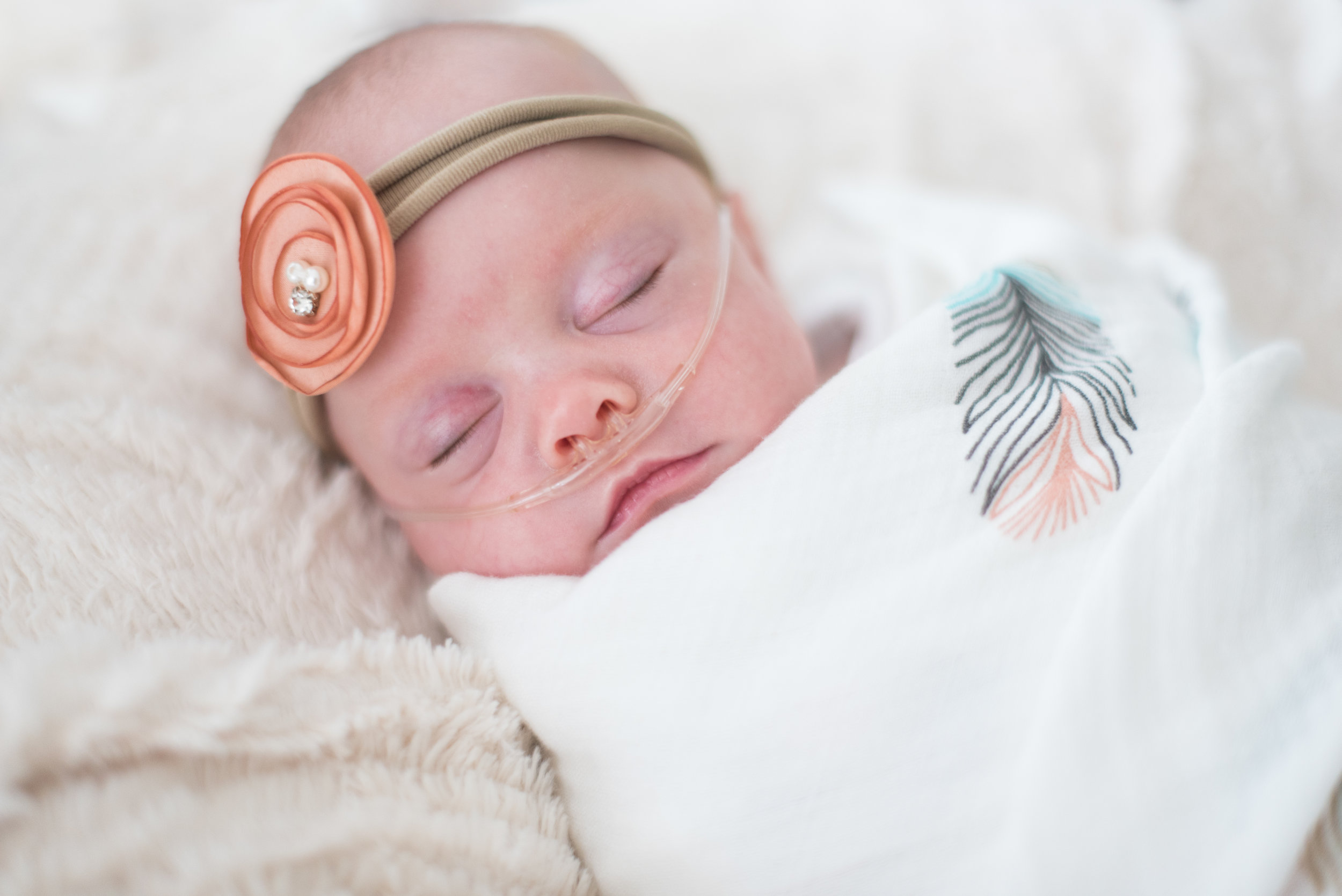 Daul Newborn-2.jpg