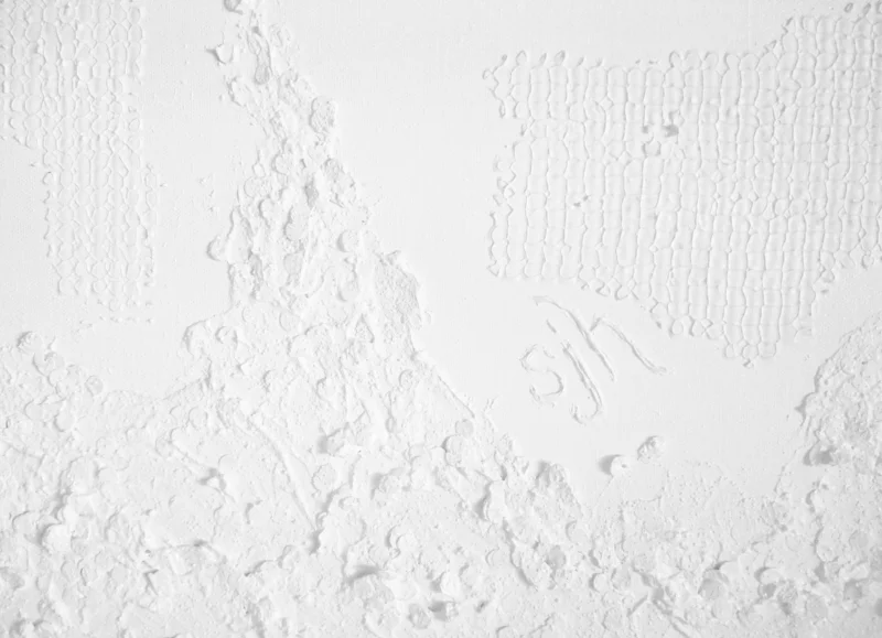 White texture relief area - lower righthand corner