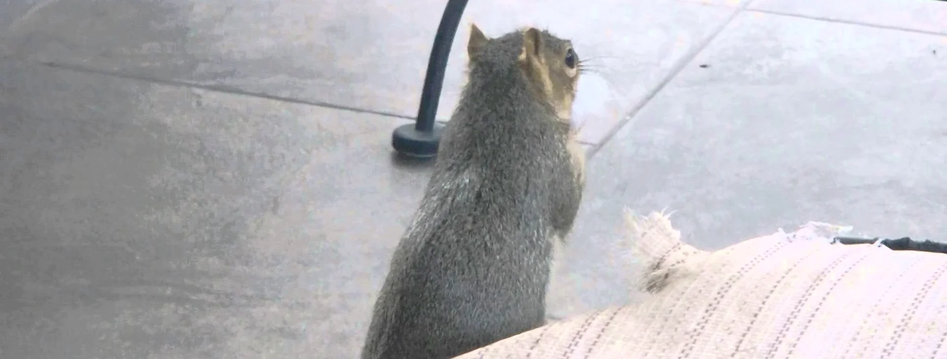 Blog — MARY ANNE SMILEY INTERIORS