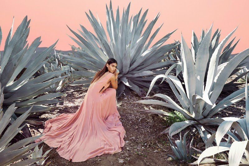 MARA HOFFMAN SPRING 2015: A CACTUS DREAM