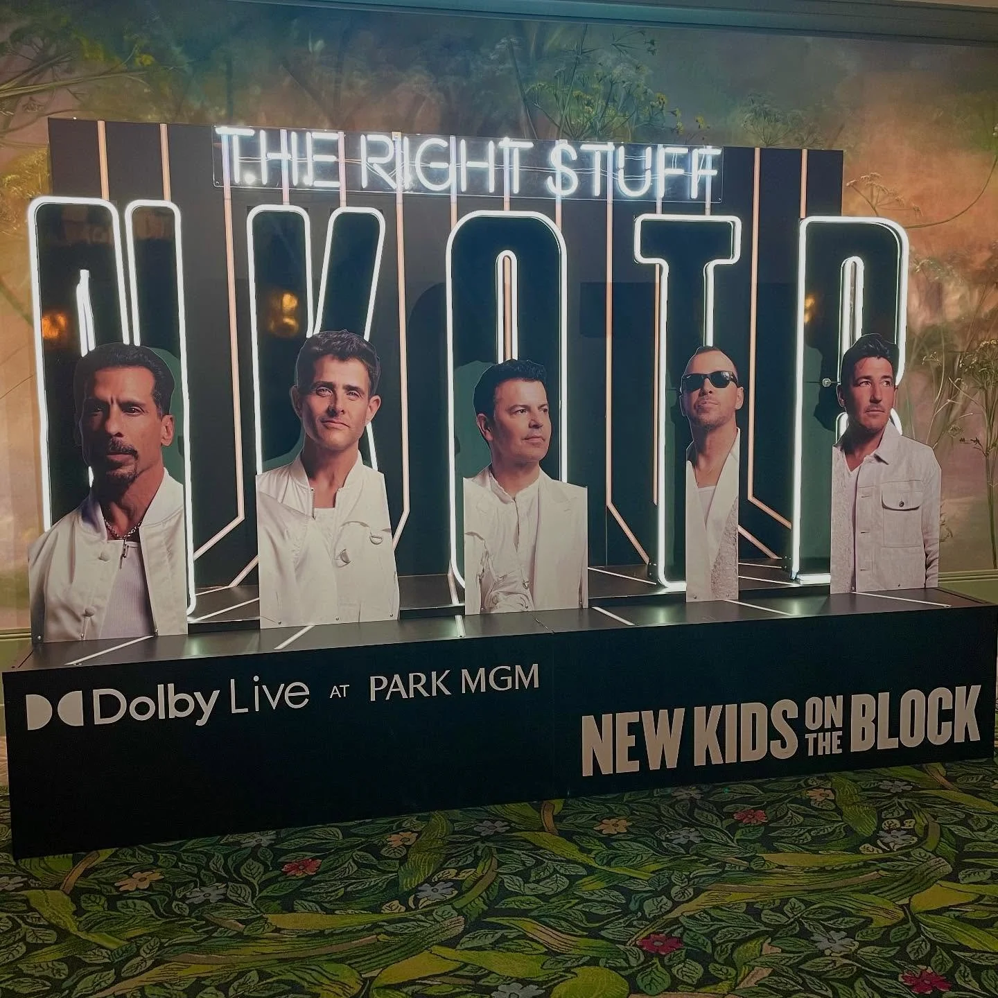I danced, sang, screamed, cried &amp; healed my inner teenager! The @nkotb concert was the highlight of my summer &amp; I can&rsquo;t wait to see the boys in the band again in Nov. &amp; Feb! Get your tickets &amp; join me! 🎟️ (link in bio) https://