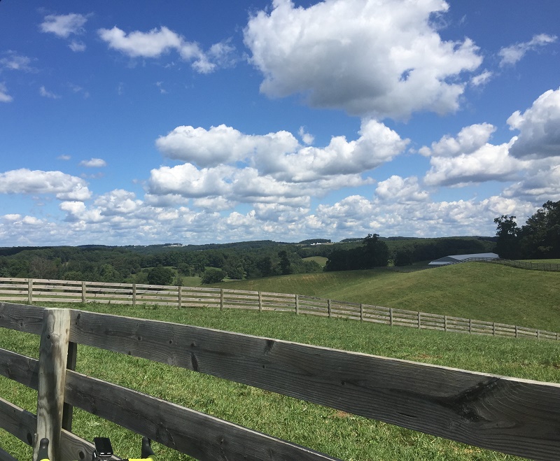 Another perfect scene captured on one of my bike rides