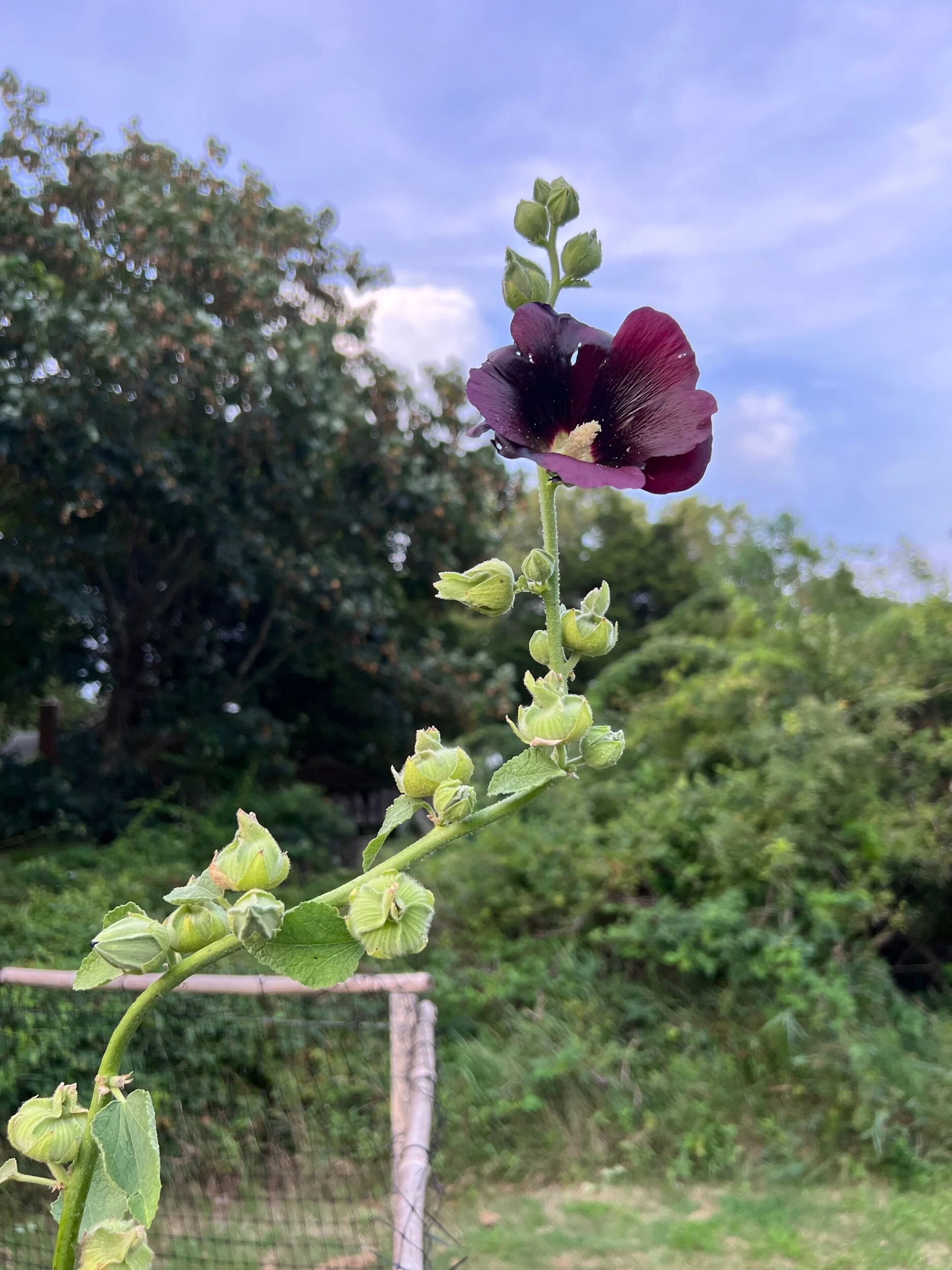 AE456CB3-856B-4EC3-93DB-04853C30B846