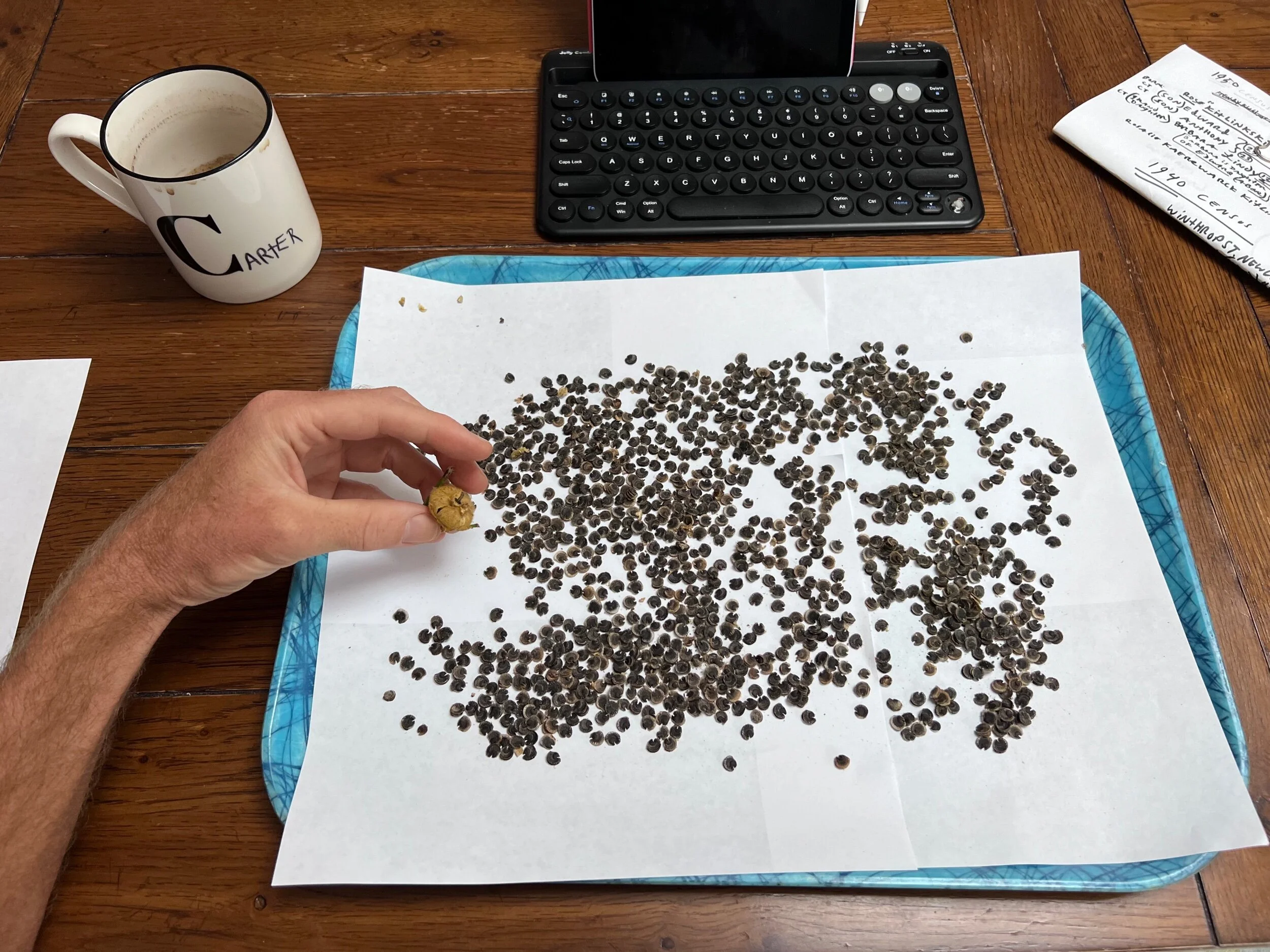 71BE8B70-6E40-4E9F-8504-A11CC5BB338D