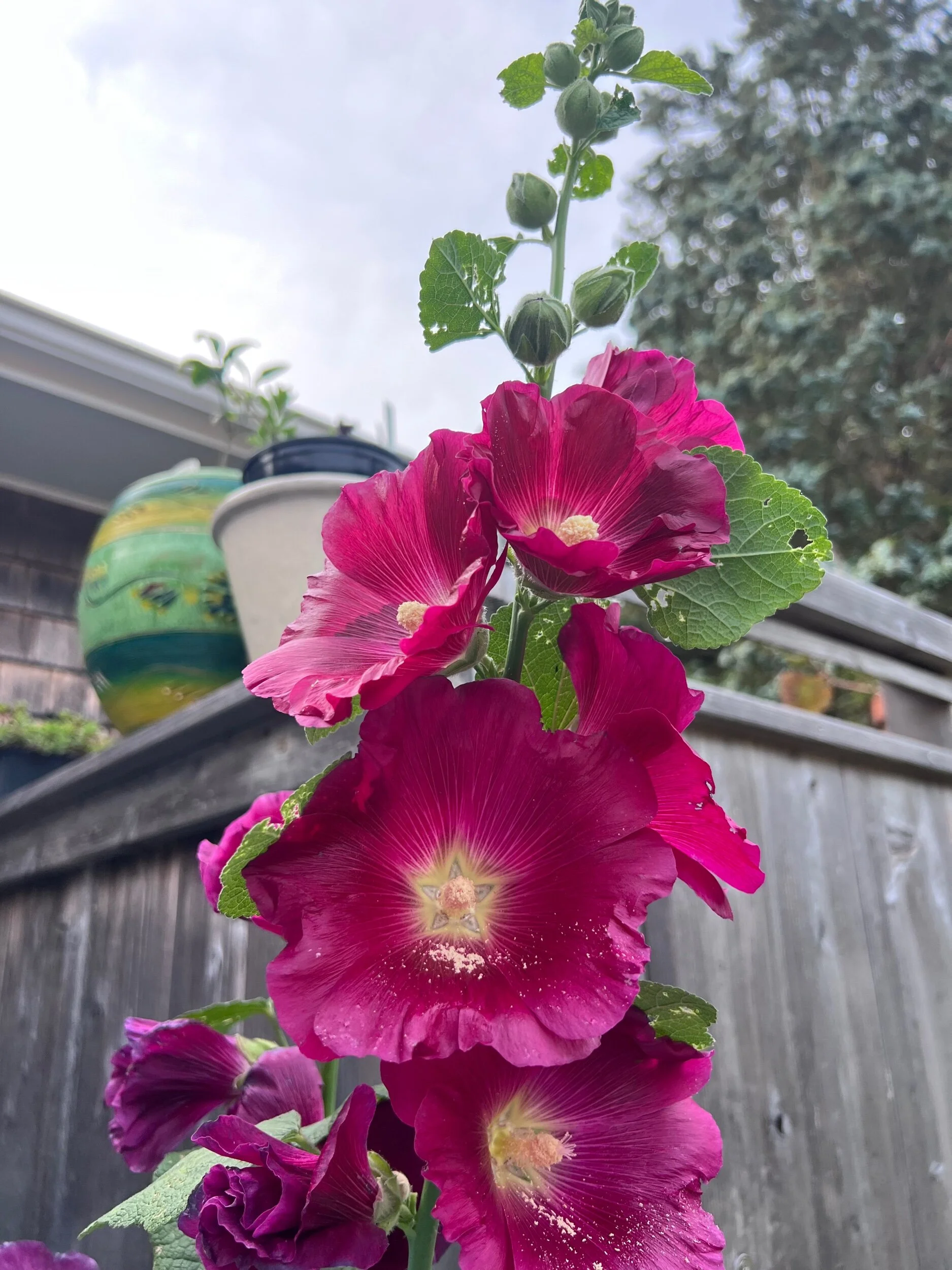 C2B2C17D-D4B9-41AA-AC21-32CCEF7940E6