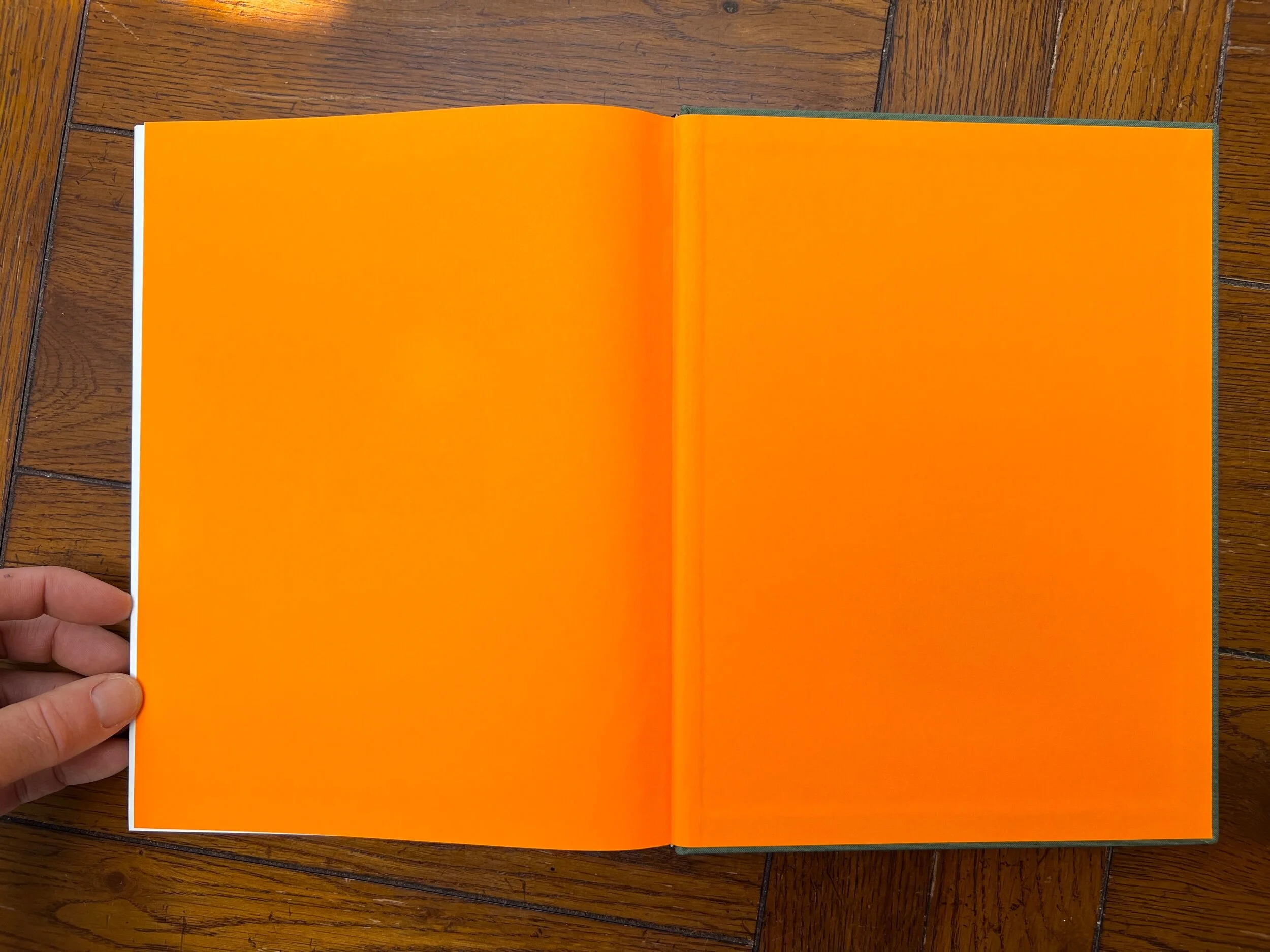 445C463C-66CC-4B84-9566-5DA91532D120