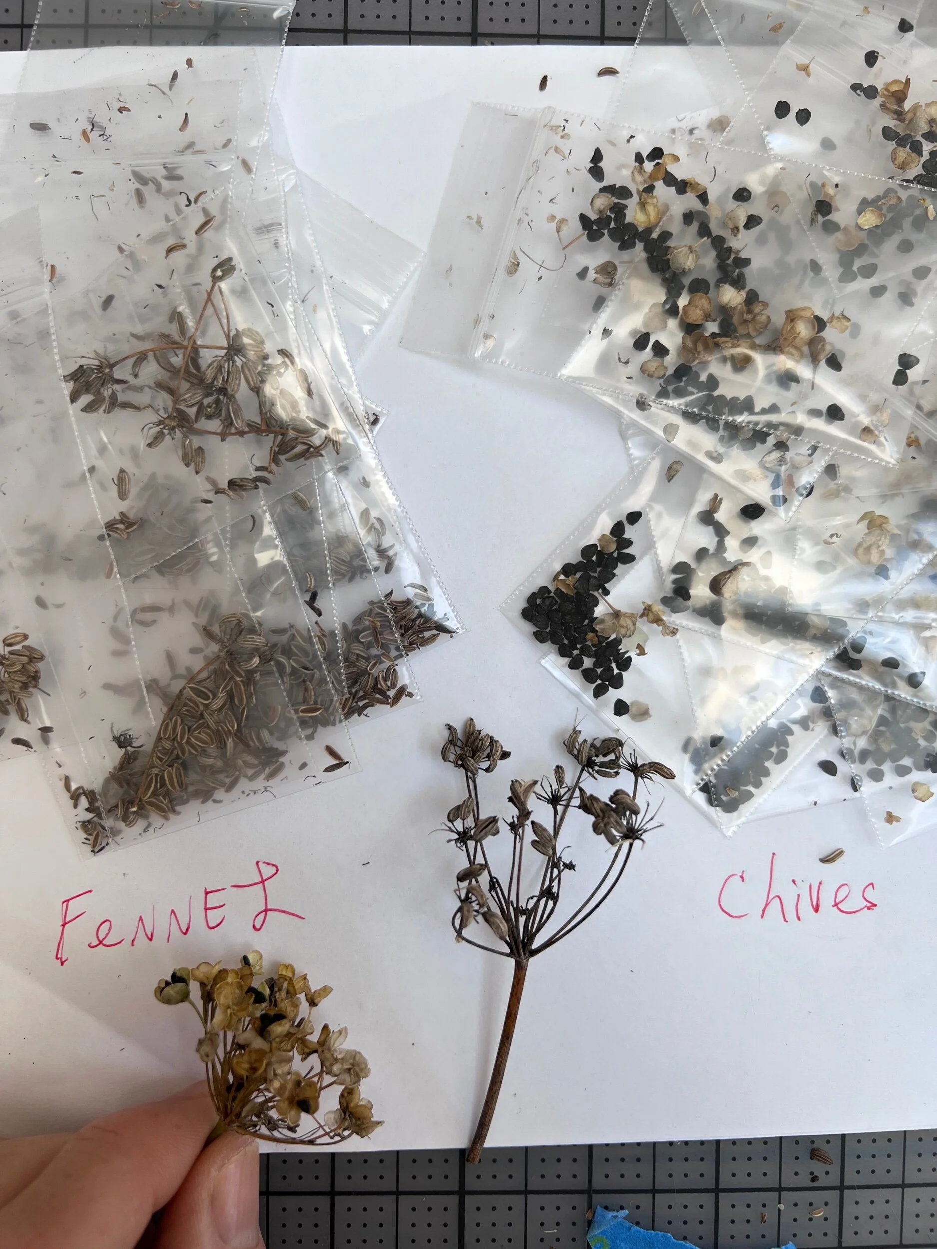 5B6912D7-D77E-4DC1-8B0D-BA8D4615E75E