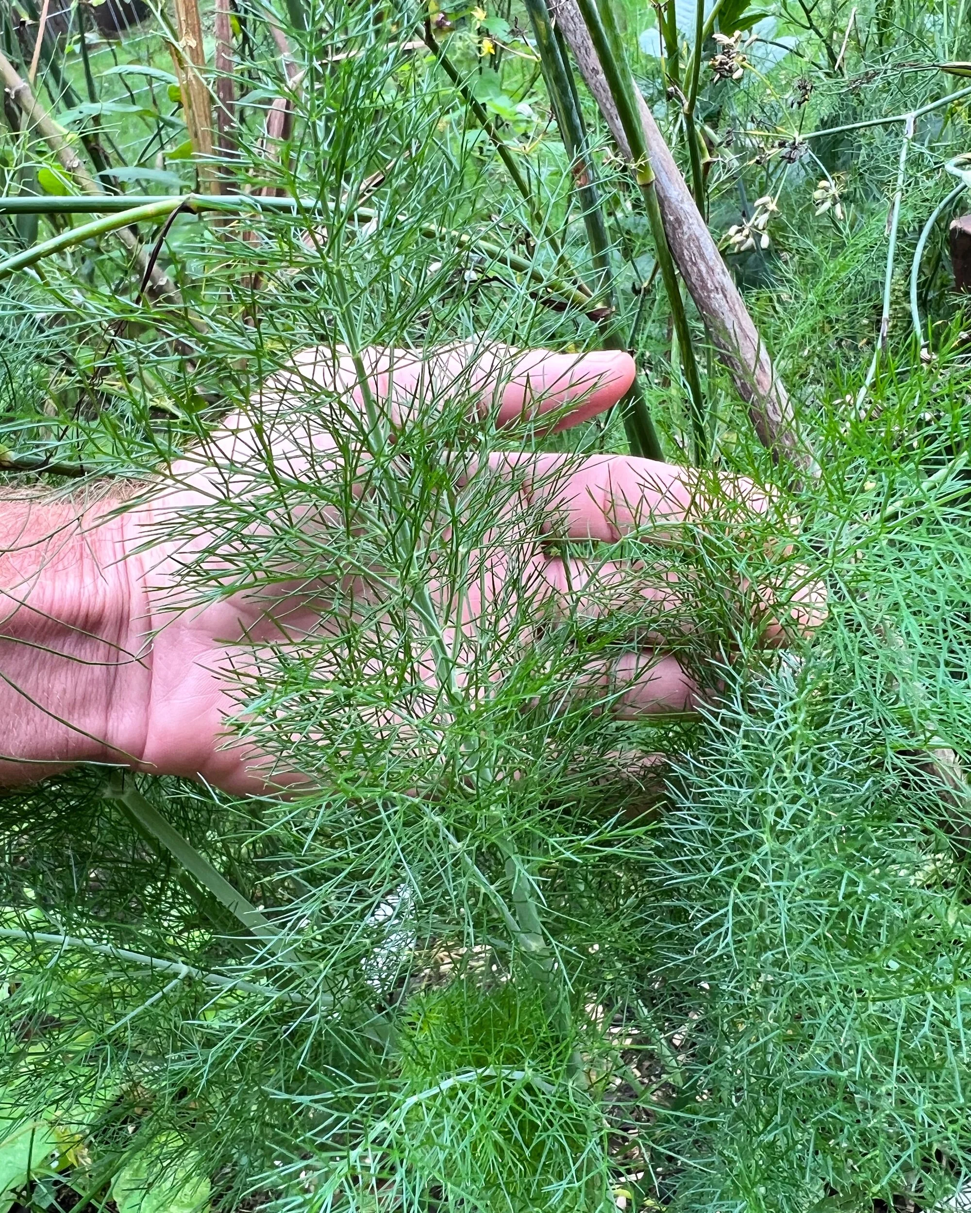 6EF74EE5-2751-4272-B87C-48AA021F7526