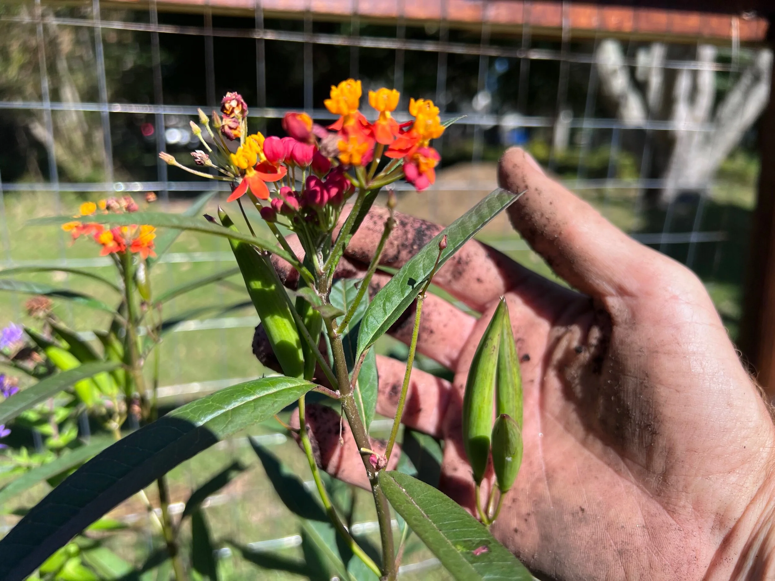 3FDFD76B-55E8-4B19-B23D-37AE245B7CFD