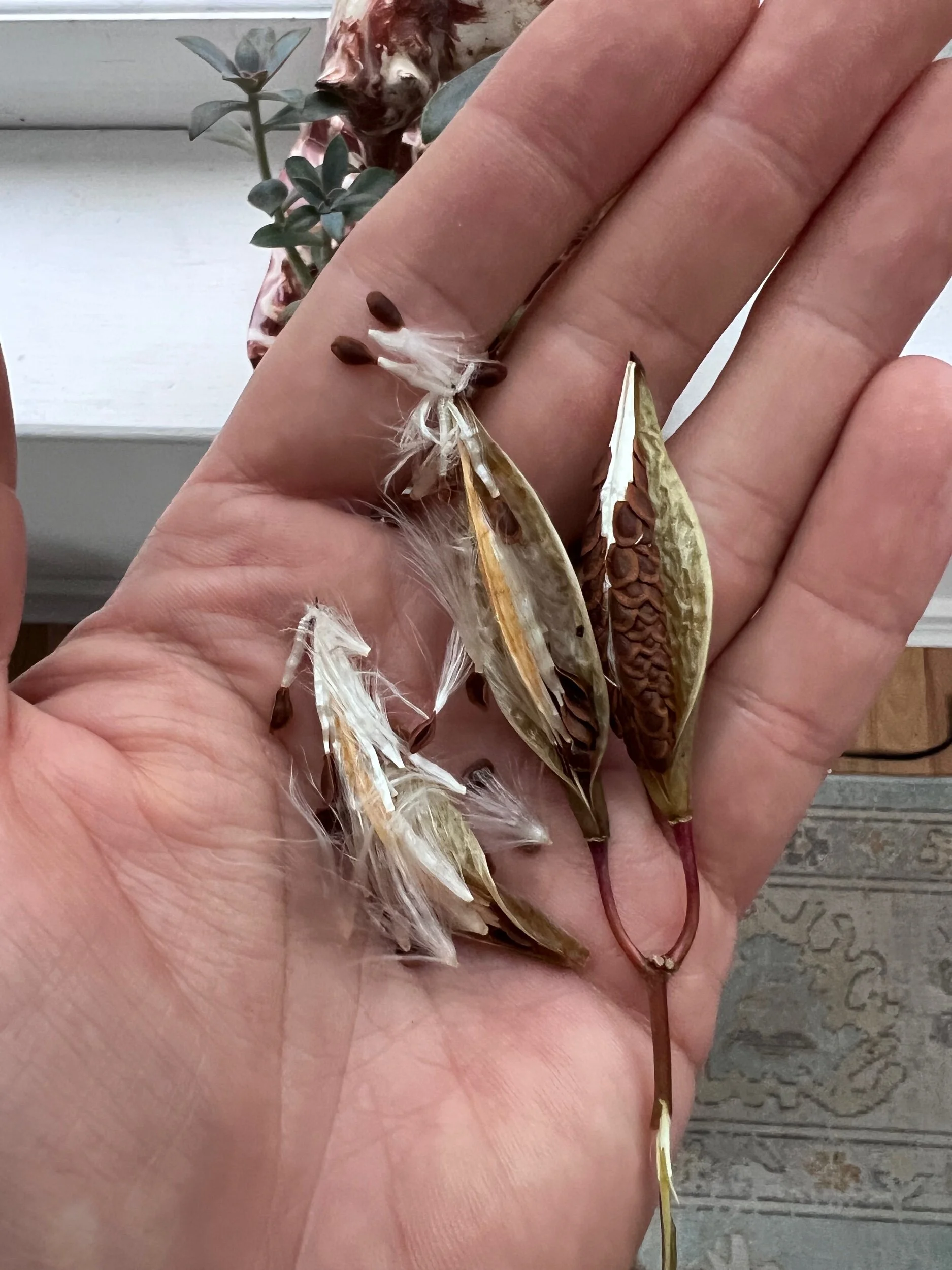 72673BCA-907E-41DB-89AC-7529185DE0D6