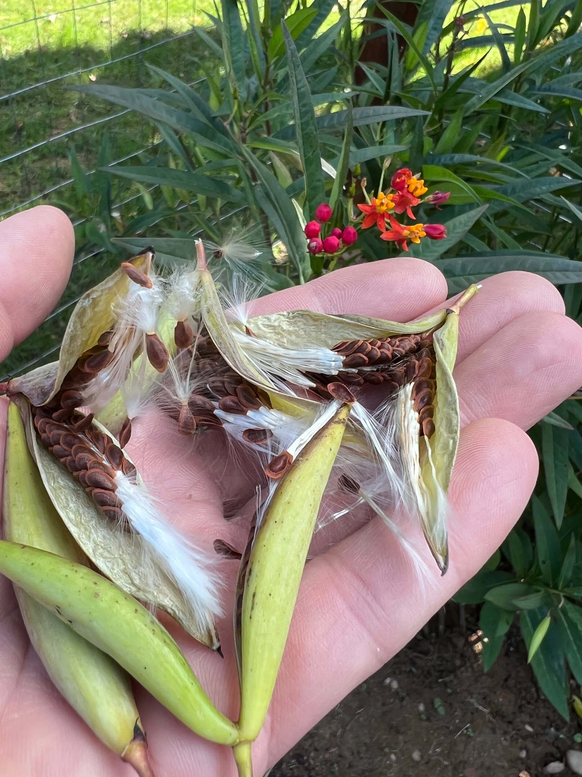 8BCEDCD0-6EAB-4876-BDDC-7BB38B0A3B94