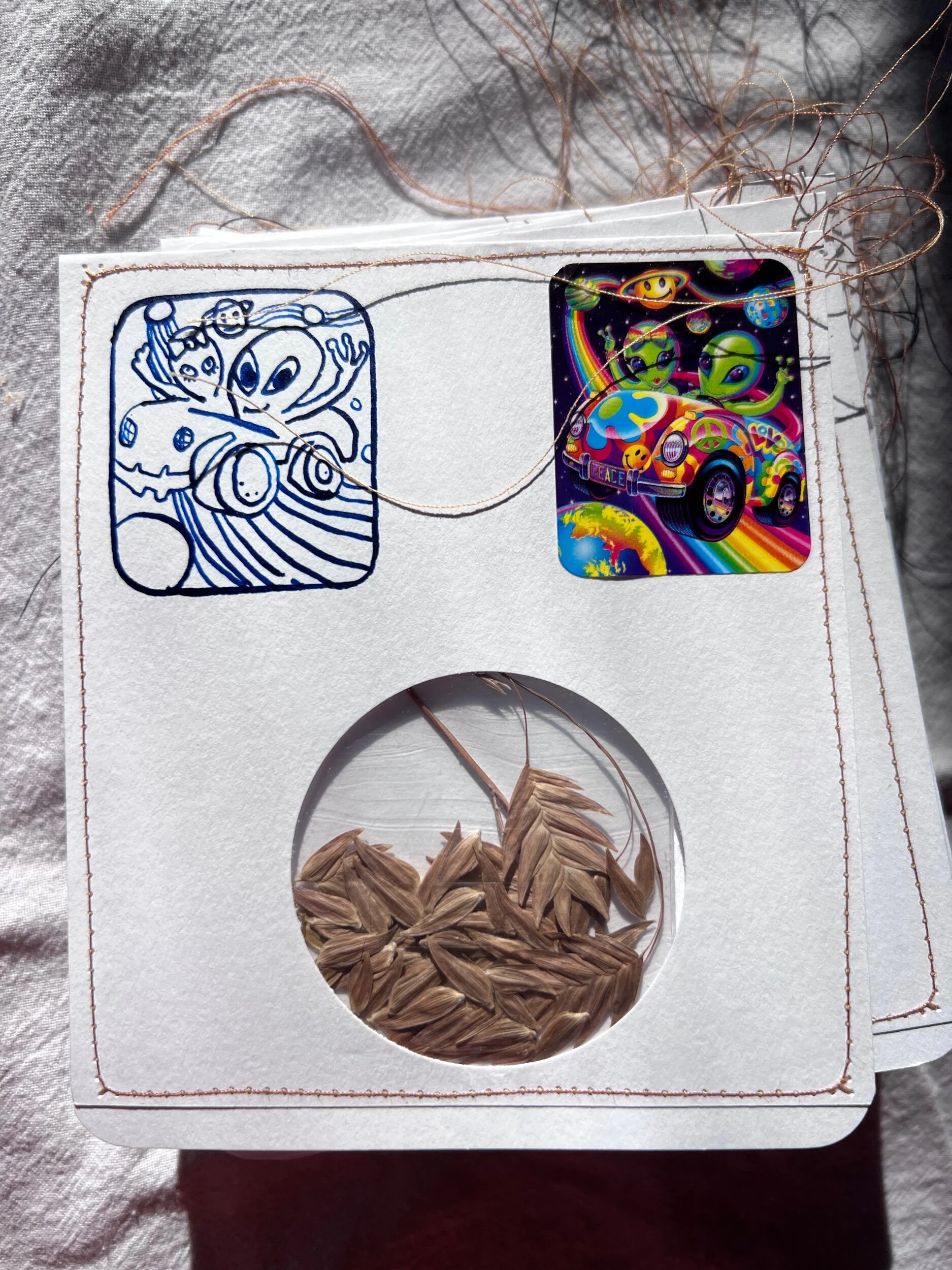 3304AD82-22B2-4609-B573-3D6185FF0BF9