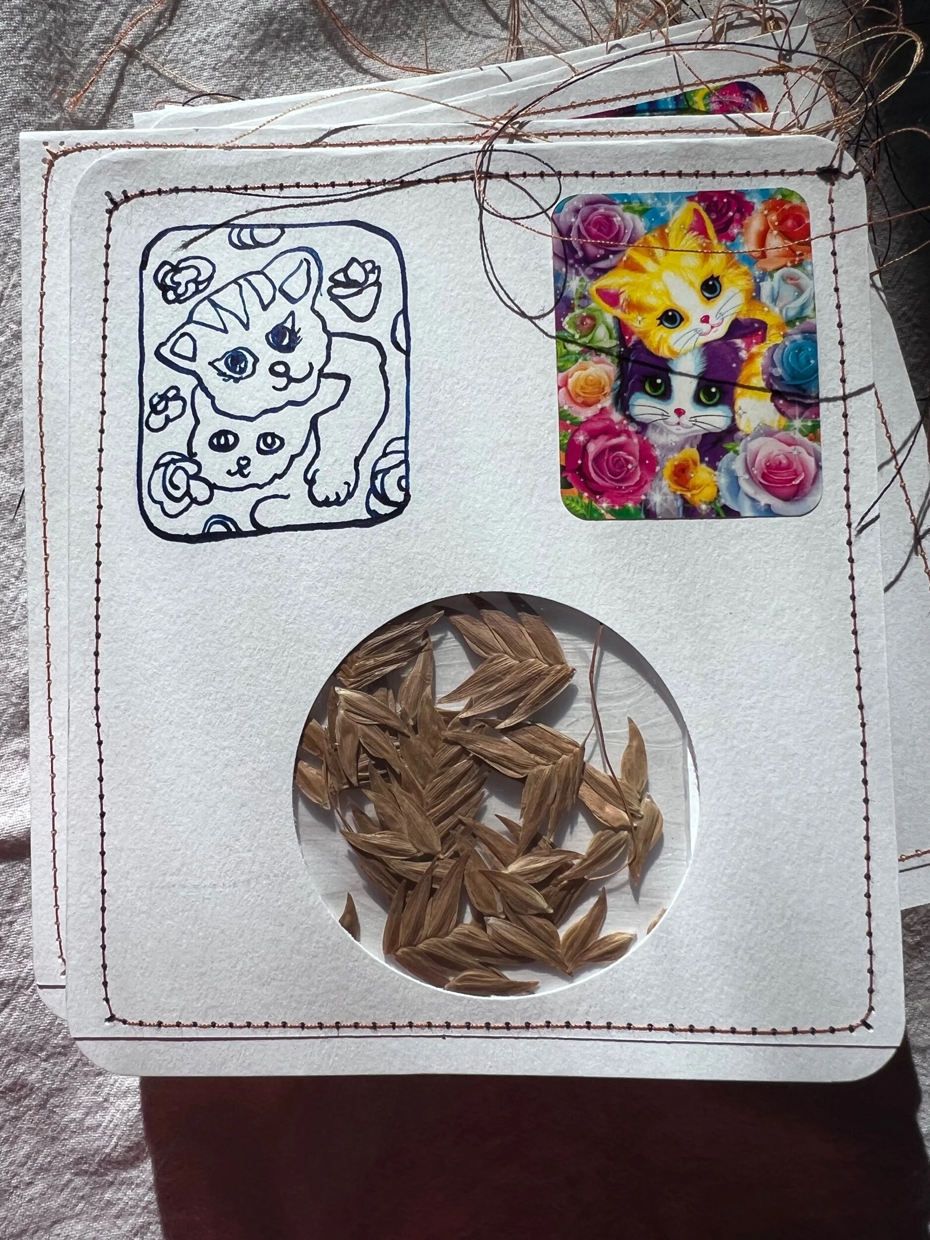 6AC15F1C-519C-4975-9E79-10DC2F79C0A6